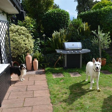 Burgblick Lägenhet Nideggen Exteriör bild